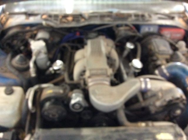 1985 Pontiac Trans Am - photo 10