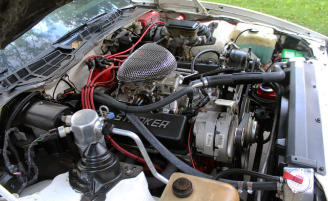 1985 Pontiac Firebird T-Tops - photo 11