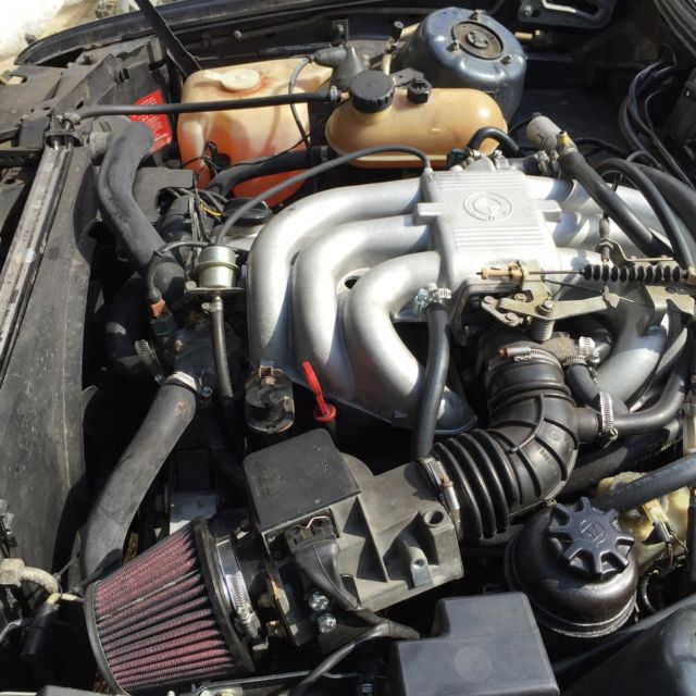 1986 BMW 3-Series 325e - photo 11