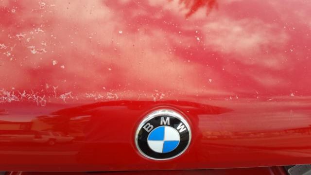 1986 BMW 6-Series - photo 6
