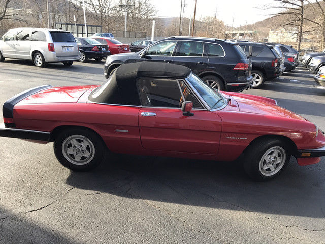 1986 Alfa Romeo Alfa Romeo Veloce - photo 6