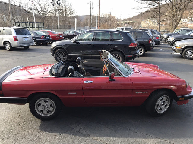 1986 Alfa Romeo Alfa Romeo Veloce - photo 12