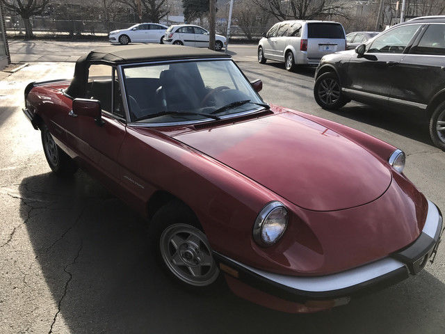1986 Alfa Romeo Alfa Romeo Veloce - photo 5