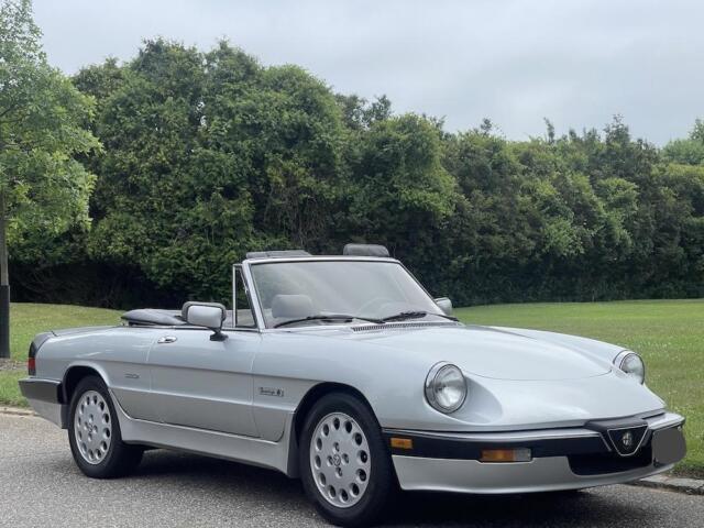 1986 Alfa Romeo Alfa Romeo Quadrifoglio 1986 Alfa Romeo Alfa Romeo Quadrifoglio