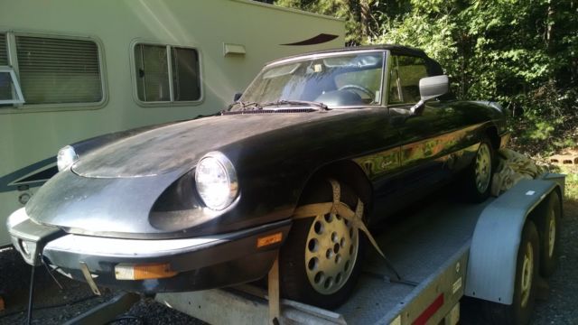 1986 Alfa Romeo Spider - photo 2