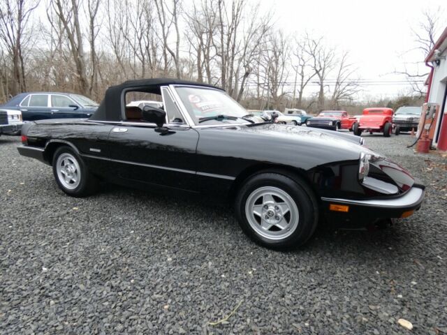 1986 Alfa Romeo Spider