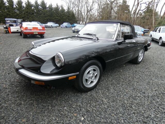 1986 Alfa Romeo Spider - photo 2