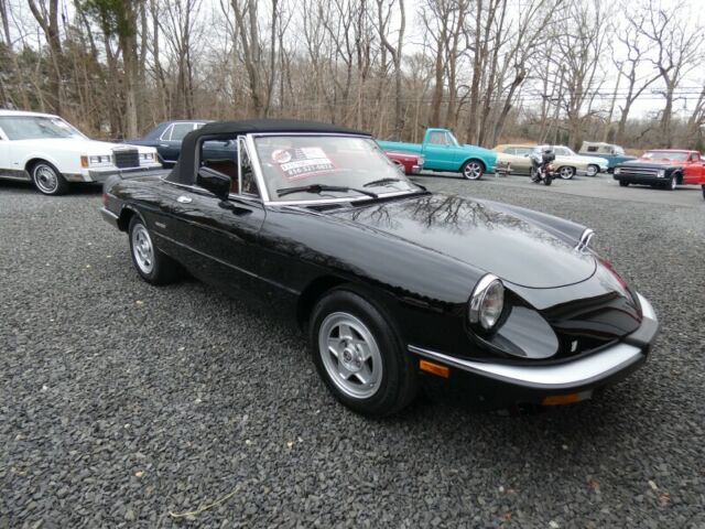 1986 Alfa Romeo Spider - photo 5