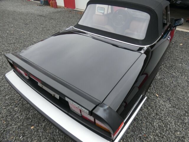 1986 Alfa Romeo Spider - photo 7