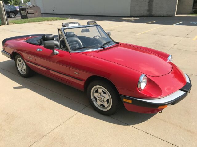 1986 Alfa Romeo Spider Graduate - photo 5