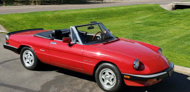 1986 Alfa Romeo Spider 42k original miles remarkable condition 1986 Alfa Romeo Spider SPIDER GRADUATE VELOCE