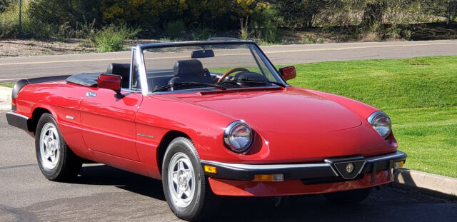 1986 Alfa Romeo Spider SPIDER GRADUATE VELOCE - photo 3