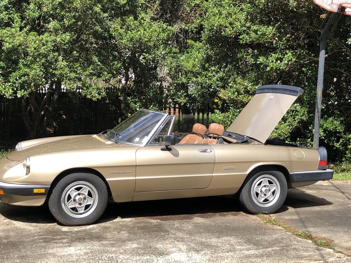 1986 Alfa Romeo Spider 2000 SPIDER - photo 10