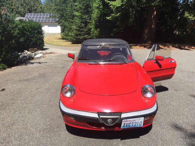 1986 Alfa Romeo Spider - photo 10