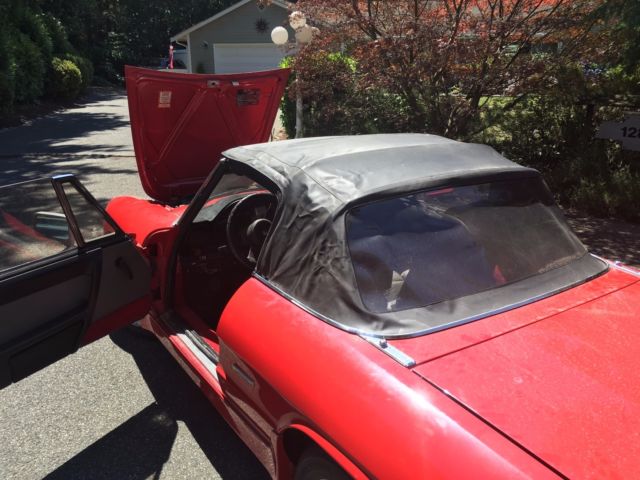 1986 Alfa Romeo Spider - photo 9