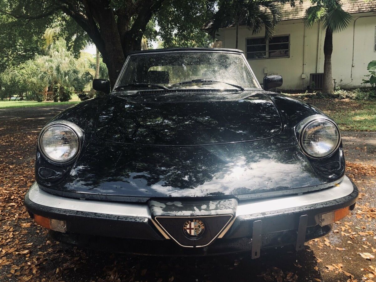 1986 Alfa Romeo Spider 2000 SPIDER