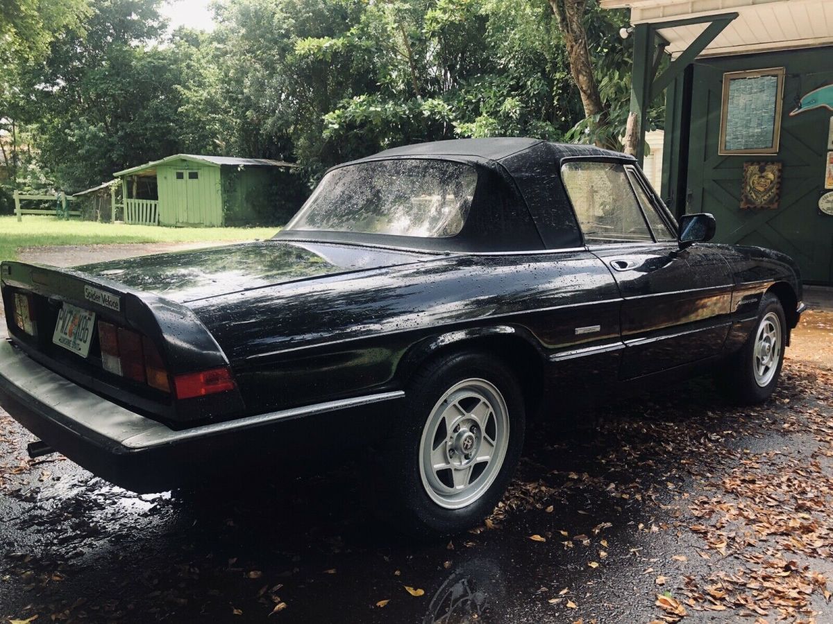 1986 Alfa Romeo Spider 2000 SPIDER - photo 3