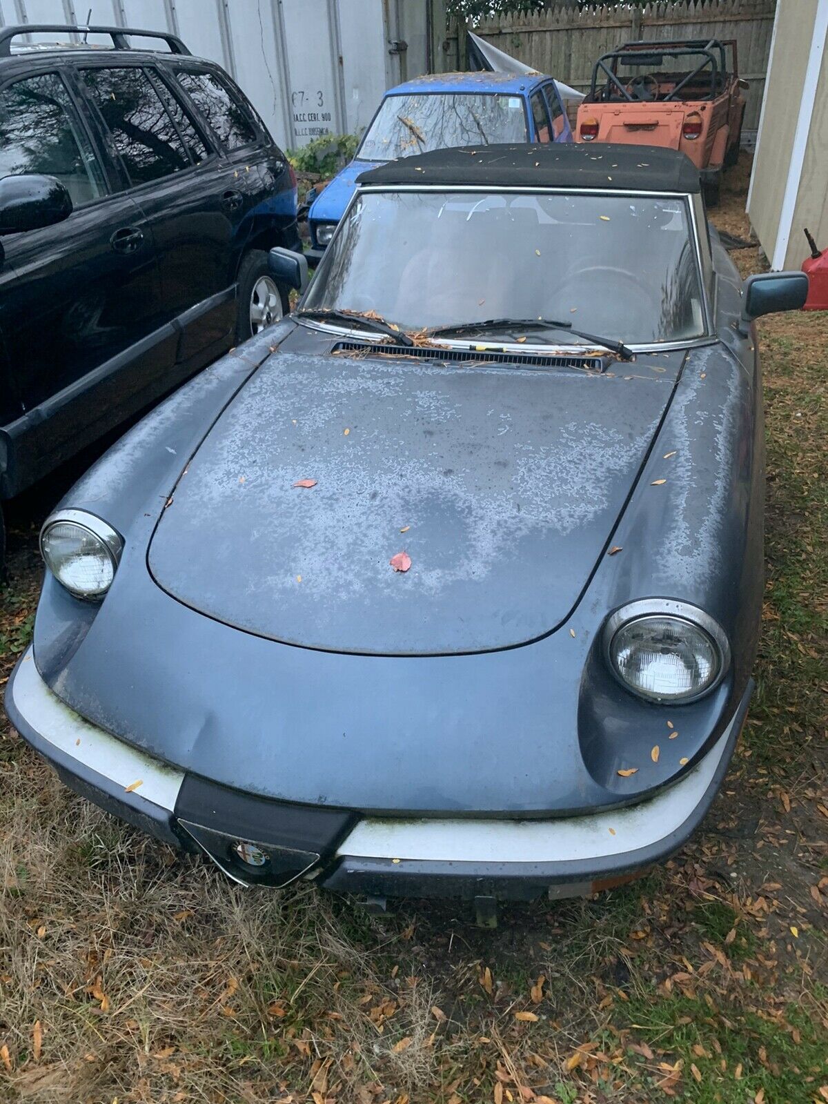 1986 Alfa Romeo Spider Convertible Blue RWD Manual 2000 SPIDER 1986 Alfa Romeo Spider 2000 SPIDER