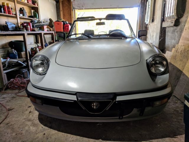 1986 Alfa Romeo Spider Graduate