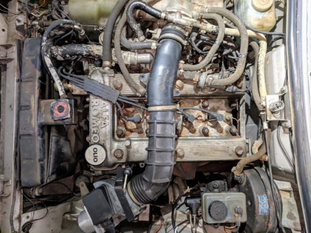 1986 Alfa Romeo Spider Graduate - photo 11