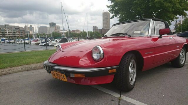 1986 Alfa Romeo Spider - photo 5