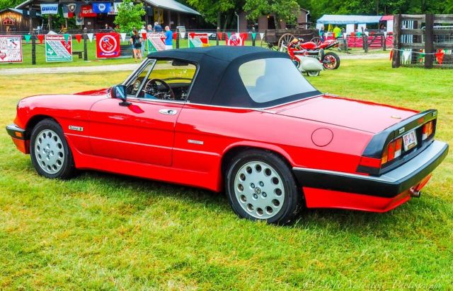 1986 Alfa Romeo Spider Quadrifoglio - photo 2