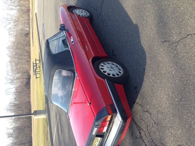 1986 Alfa Romeo Spider Quadrifoglio - photo 4