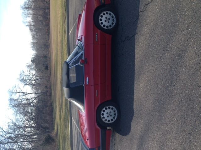 1986 Alfa Romeo Spider Quadrifoglio - photo 5