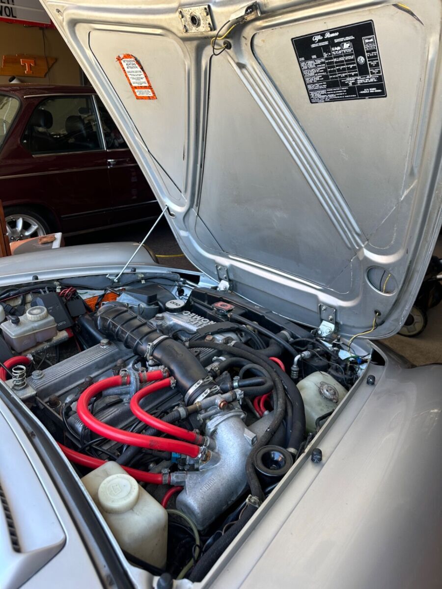 1986 Alfa Romeo Spider Quadrifoglio - photo 7