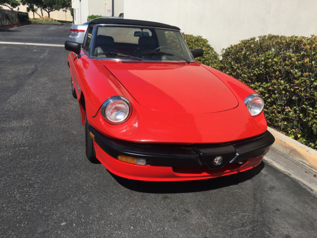 1986 Alfa Romeo Spider - photo 2