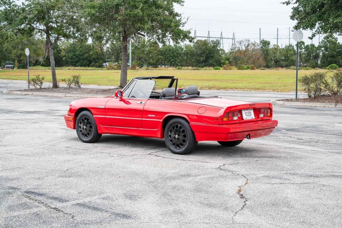 1986 Alfa Romeo Spider SSPECIAL EDITION QUADRIFOGLIO - photo 12