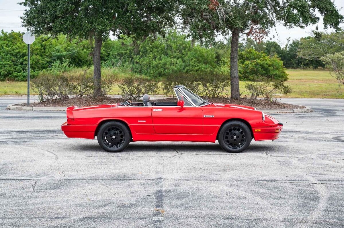 1986 Alfa Romeo Spider SSPECIAL EDITION QUADRIFOGLIO - photo 7