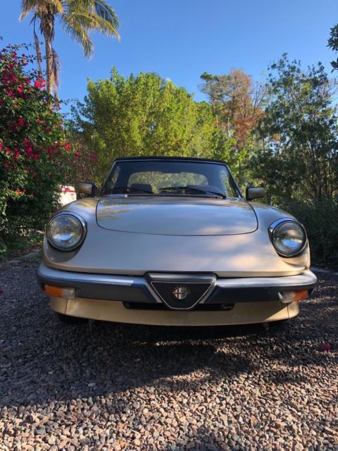 1986 Alfa Romeo Spider Veloce - photo 5
