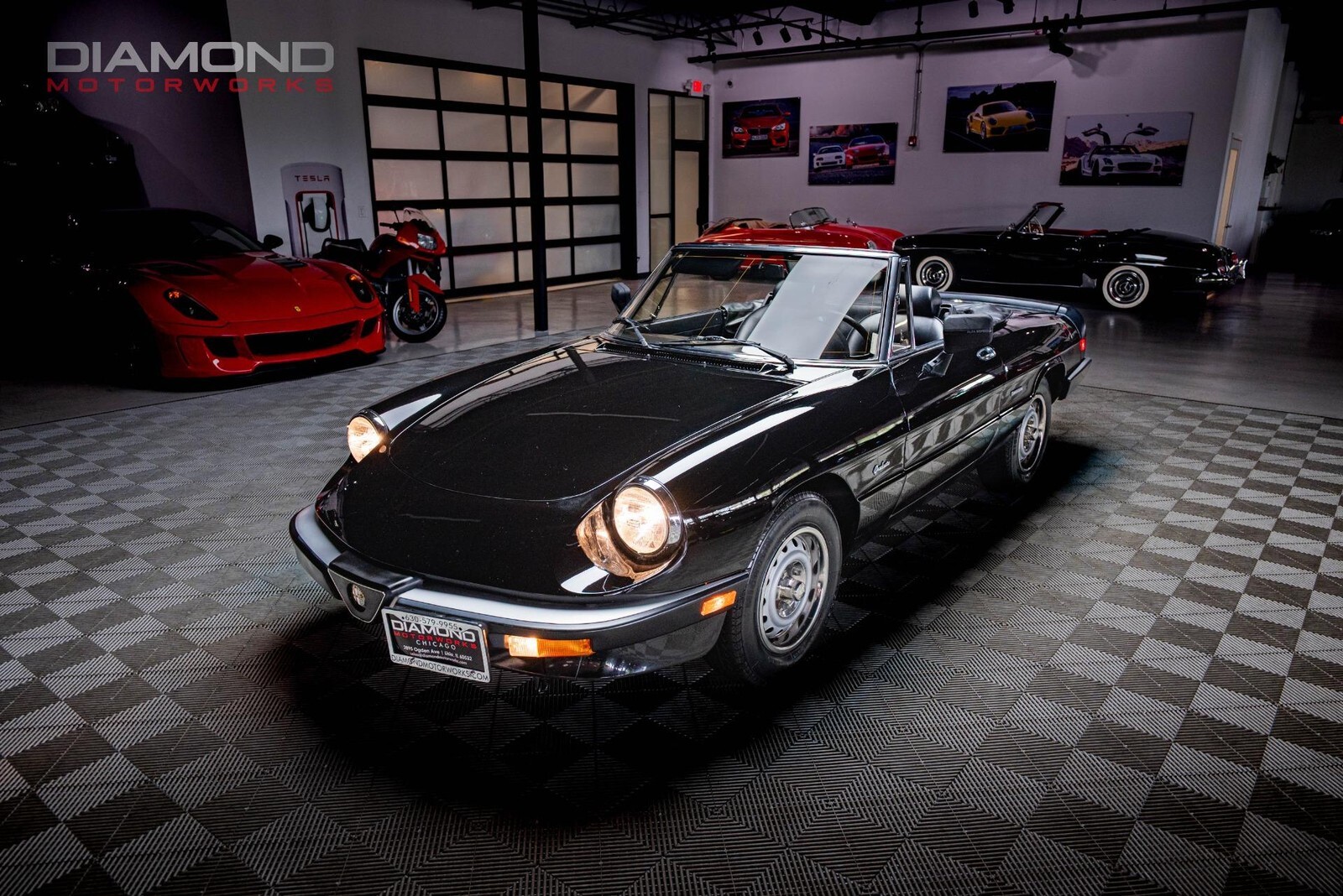 1986 Alfa Romeo Spider Veloce - photo 3