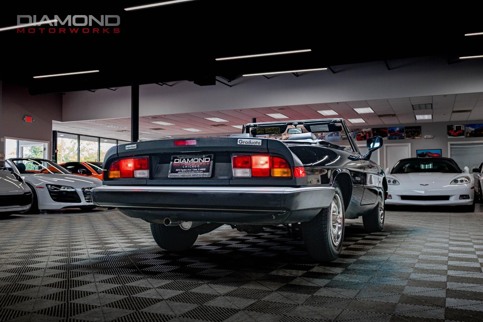 1986 Alfa Romeo Spider Veloce - photo 8