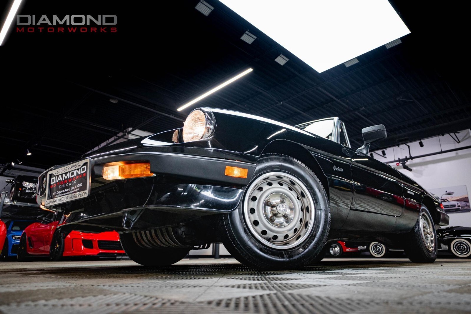 1986 Alfa Romeo Spider Veloce - photo 9