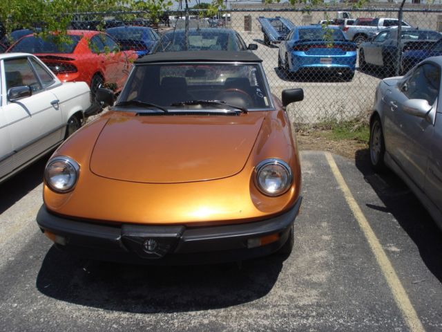 1986 Alfa Romeo Spider - photo 2