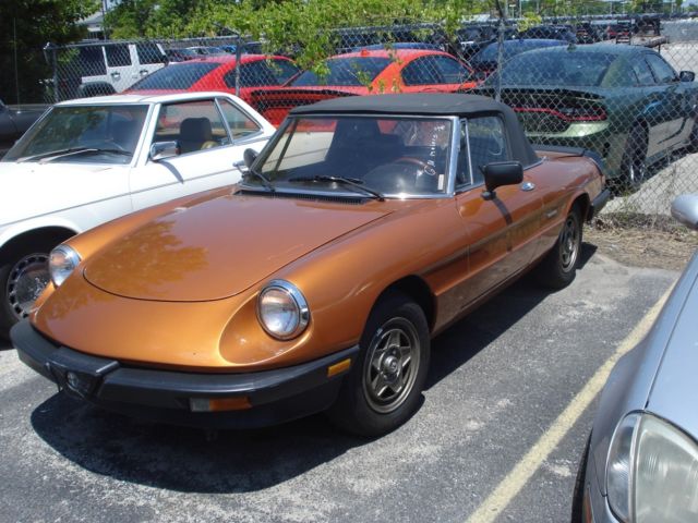 1986 Alfa Romeo Spider - photo 3