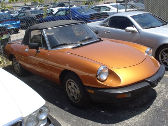 1986 Alfa Romeo Spider - photo 6