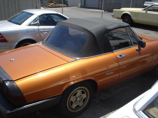 1986 Alfa Romeo Spider - photo 8