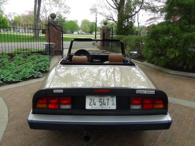 1986 Alfa Romeo Spider Spider - photo 10