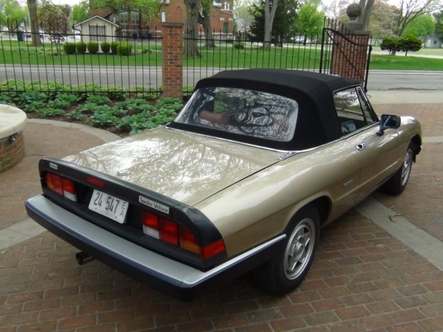 1986 Alfa Romeo Spider Spider - photo 5