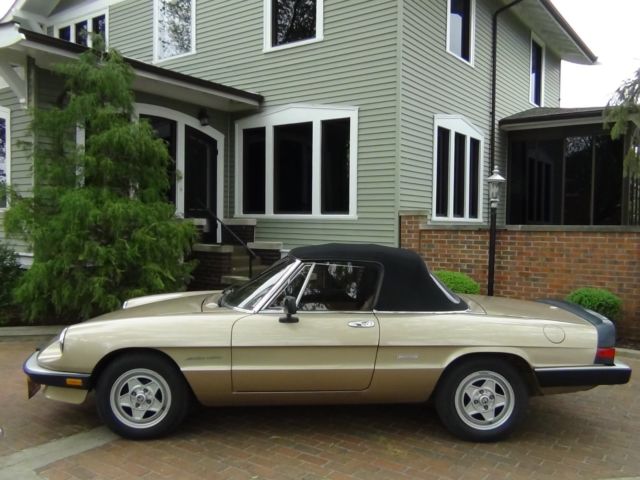 1986 Alfa Romeo Spider Spider - photo 8