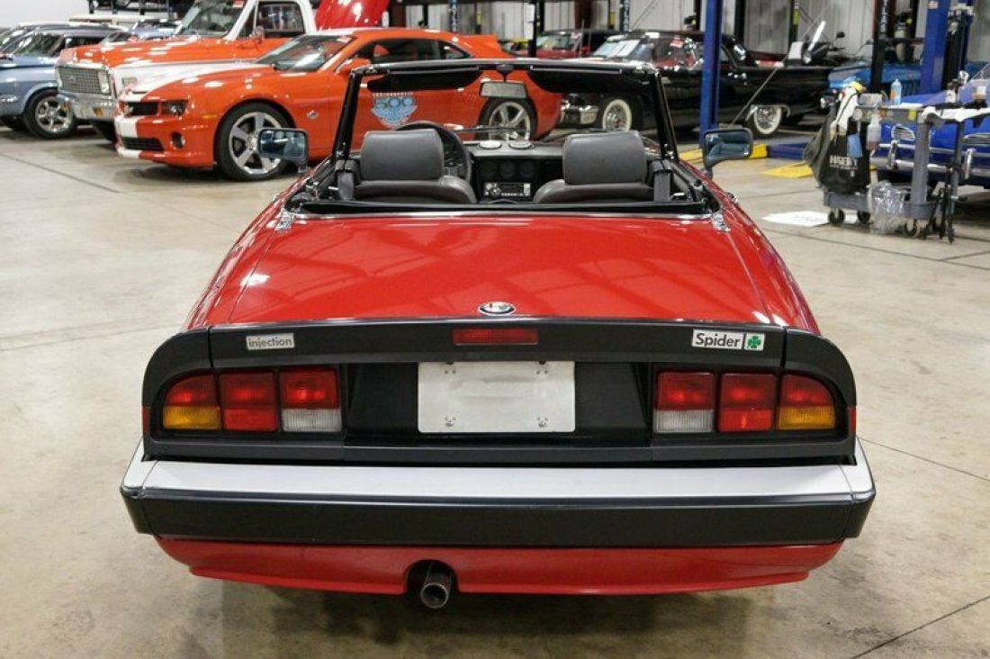 1986 Alfa Romeo Spider Veloce - photo 4