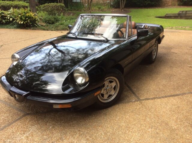 1986 Alfa Romeo Spider - photo 2