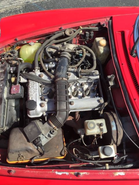 1986 Alfa Romeo Spider Graduate - photo 13