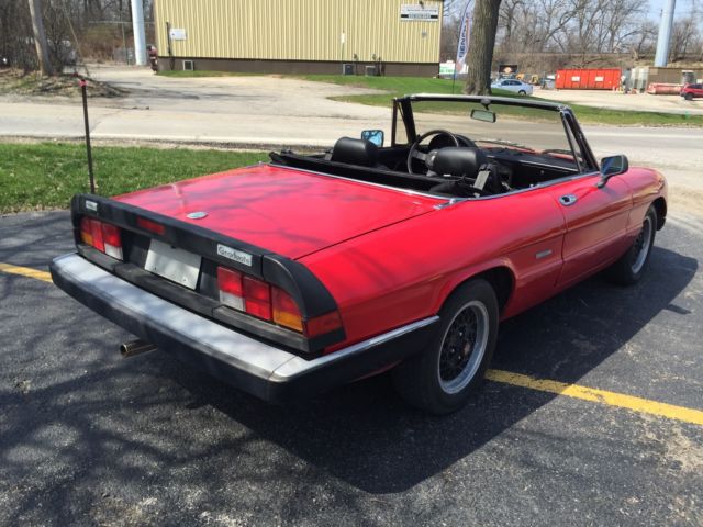 1986 Alfa Romeo Spider Graduate - photo 3