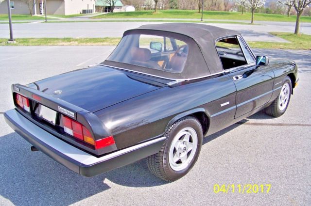 1986 Alfa Romeo Spider Veloce - photo 4
