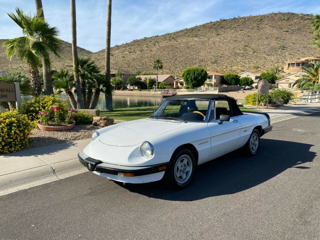 1986 Alfa Romeo Spider Veloce - photo 2
