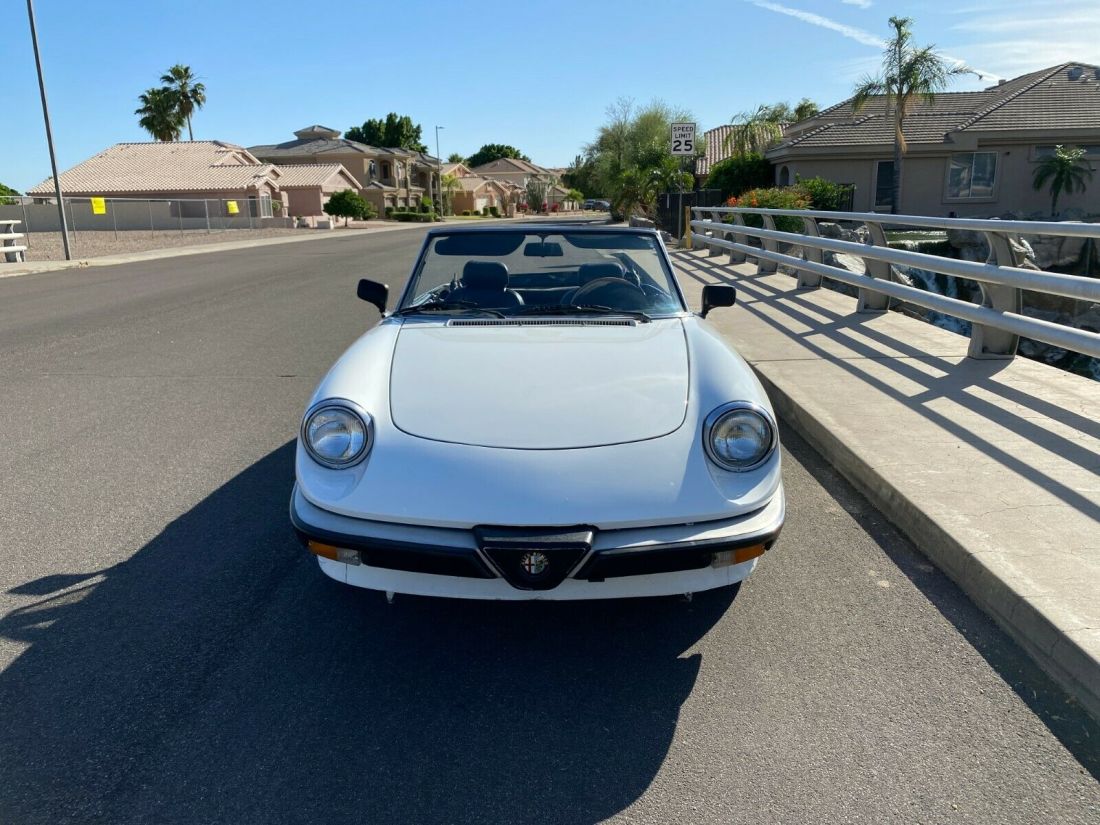 1986 Alfa Romeo Spider Veloce - photo 3